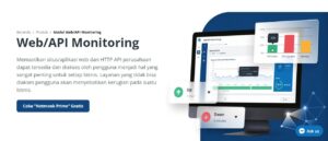 Memahami Secara Dalam Tool Monitoring Web API-nya Netmonk